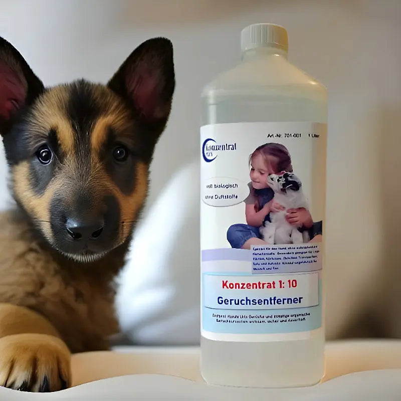 Geruchsentferner - Hund (ohne Duft)