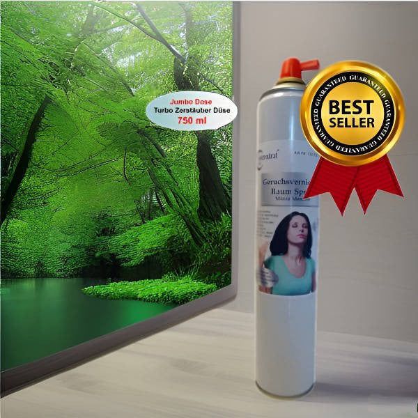 Raum Spray - Minze Menthol, Sprühdose, 750ml