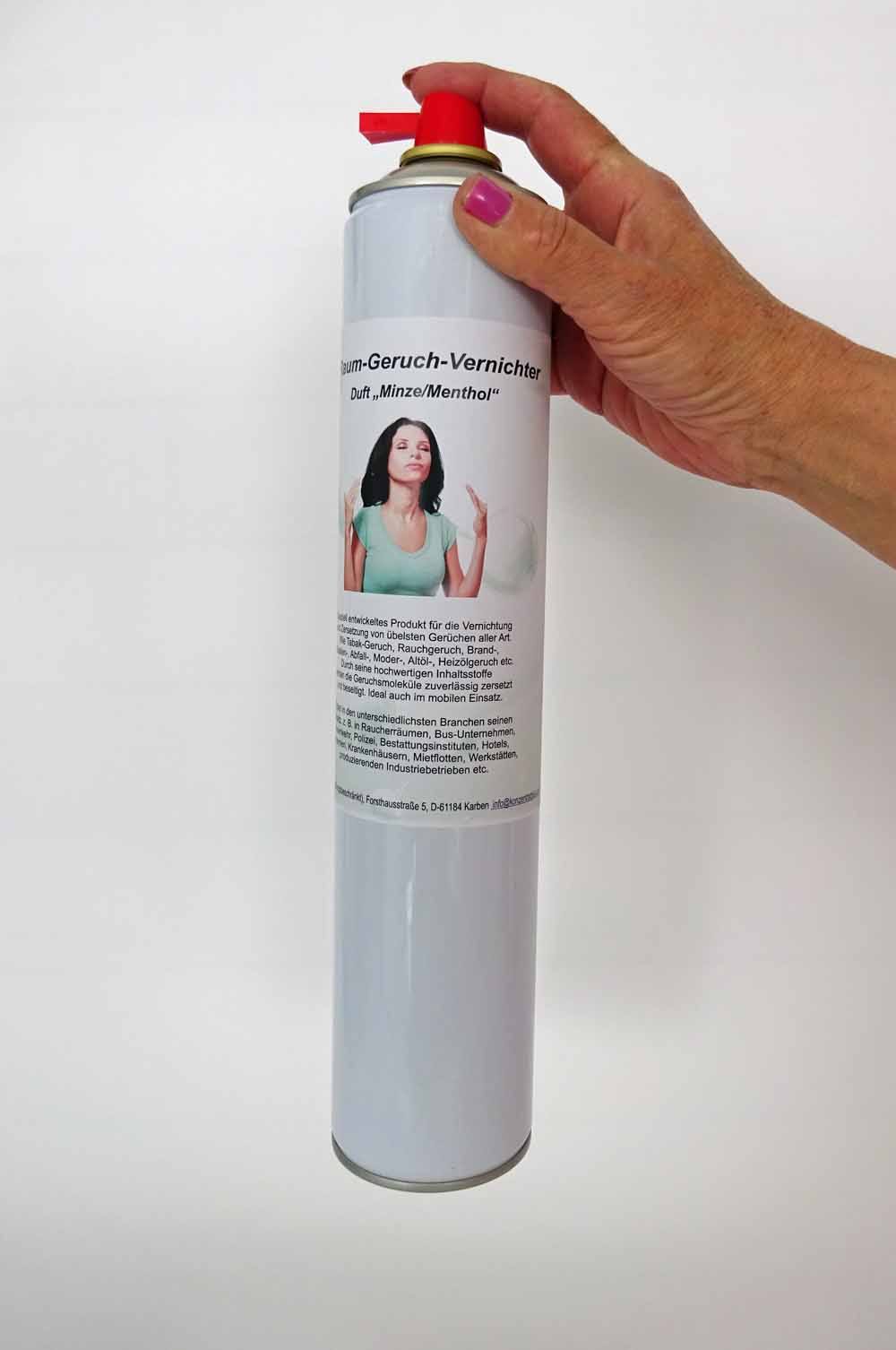 Raum Spray - Minze Menthol, Sprühdose, 750ml