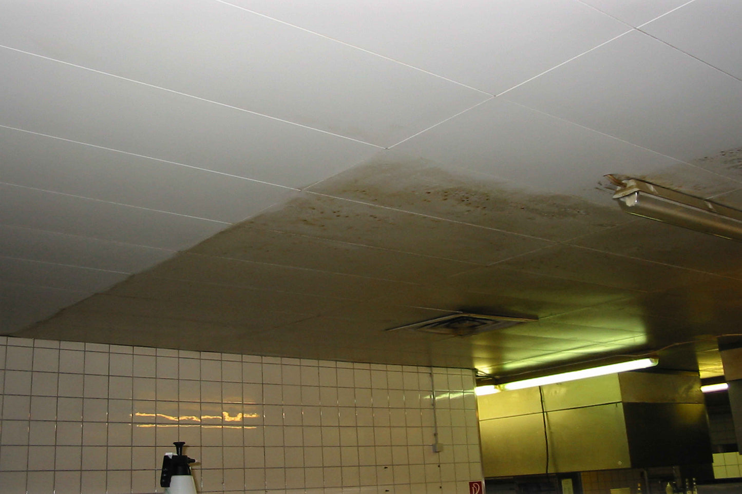 Grease remover 500, concentrate