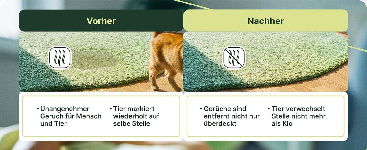 Coverax Enzymreiniger gegen Katzengerüche