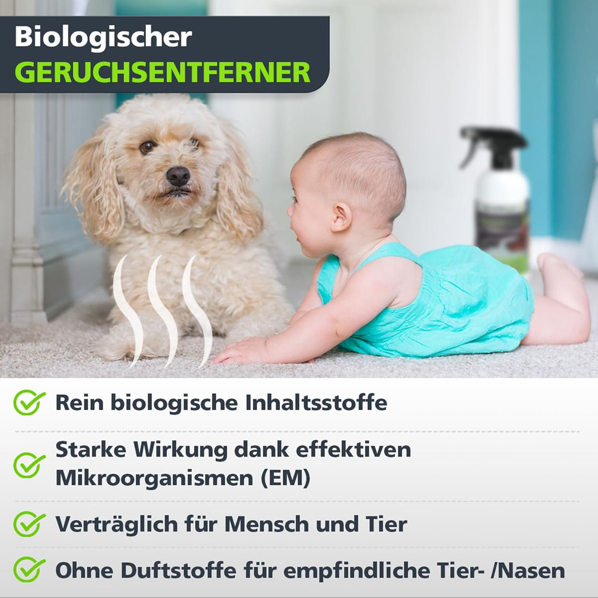 Geruchsentferner  - Sensitiv+ (Ohne Duft)