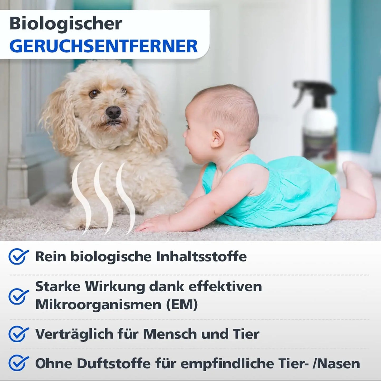 BIO Enzymreiniger & Geruchsentferner