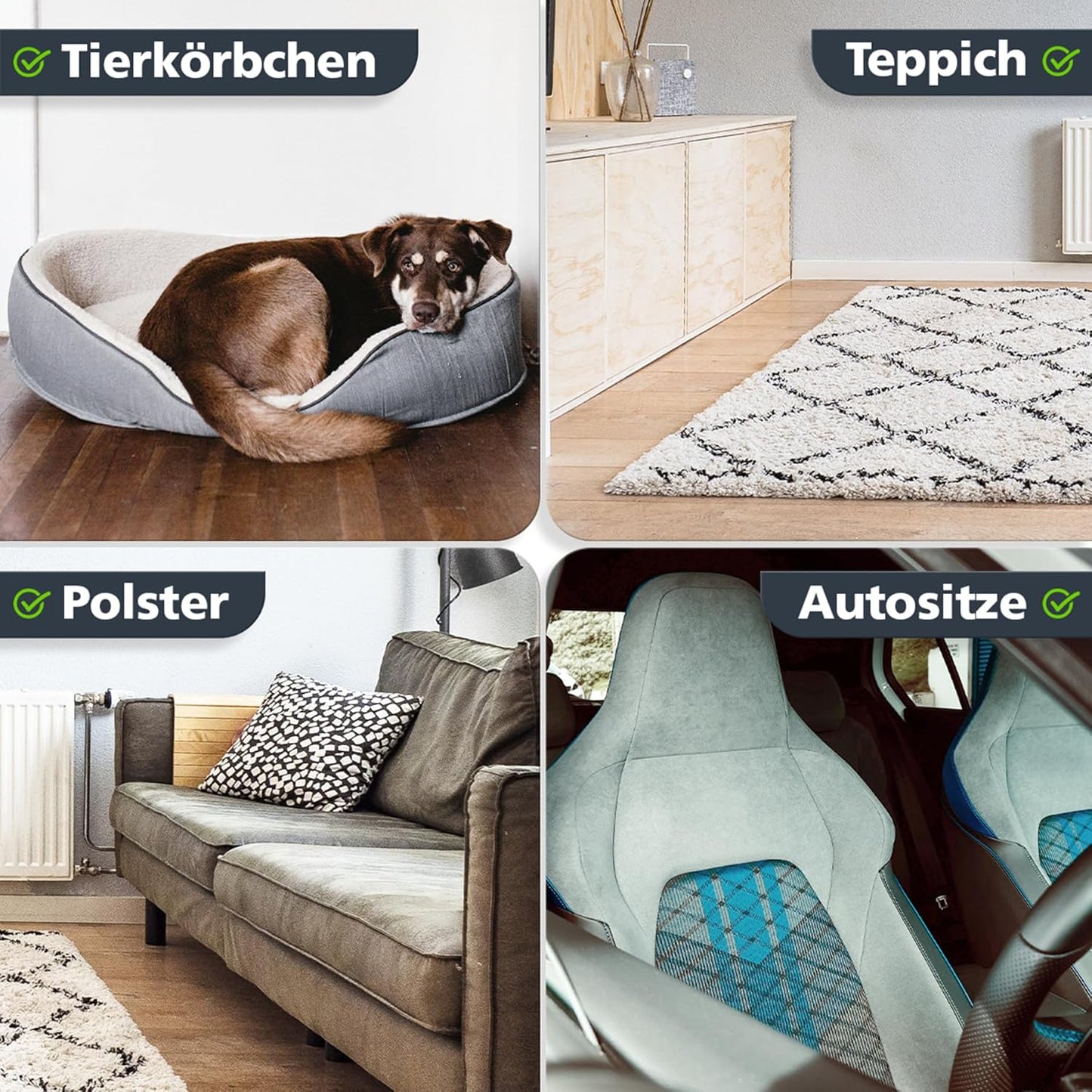 Enzymreiniger - Katze (ohne Duftstoffe)