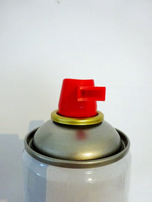 Raum Spray - Rose | Sprühdose, 750ml