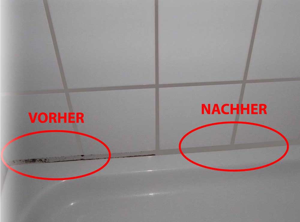 fahrradanhänger schimmel Coverax Schimmel EX – Schimmel & Stockflecken effektiv entfernen