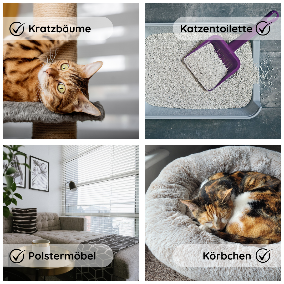 Coverax Enzymreiniger Katze – Geruchsentferner – Die Infografik zeigt mögliche Anwendungsbereiche für den Enzymreiniger. Durch seine geruchlose und sichere Eigenschaft ist er perfekt geeignet für Kratzbäume, Katzentoiletten, Polstermöbel, Körbchen und mehr. Er sorgt überall zuverlässig für hygienische Frische.
