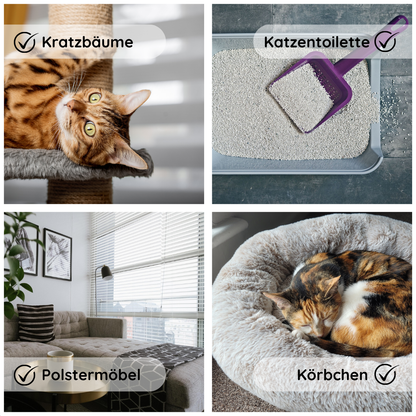 Coverax Enzymreiniger Katze – Geruchsentferner – Die Infografik zeigt mögliche Anwendungsbereiche für den Enzymreiniger. Durch seine geruchlose und sichere Eigenschaft ist er perfekt geeignet für Kratzbäume, Katzentoiletten, Polstermöbel, Körbchen und mehr. Er sorgt überall zuverlässig für hygienische Frische.