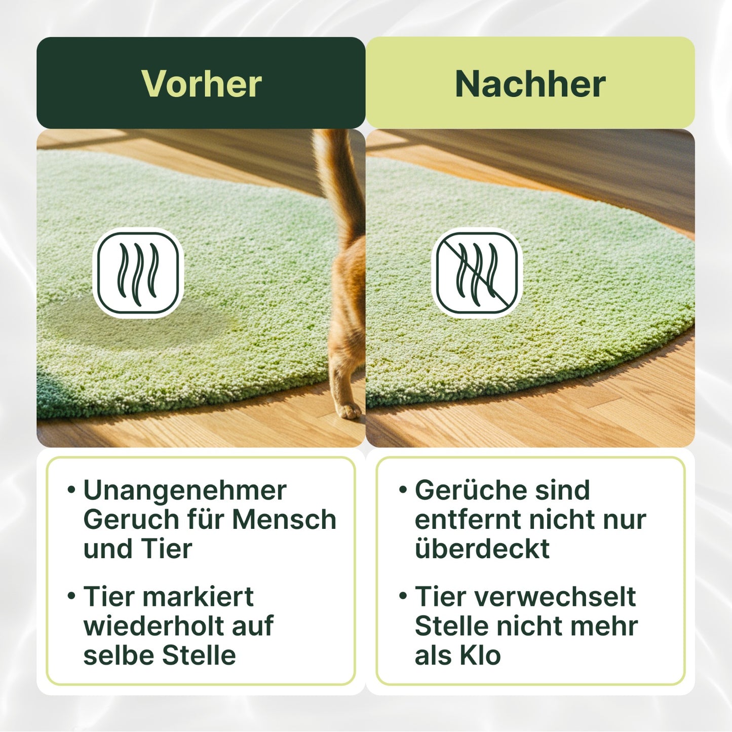 Coverax Enzymreiniger Katze – Geruchsentferner – Die Infografik zeigt den Vorher-Nachher-Vergleich des Coverax Enzymreinigers. Nach der Reinigung sind die unangenehmen Gerüche nicht nur überdeckt, sondern komplett entfernt. Das Tier verwechselt die Stelle dadurch nicht mehr mit dem Katzenklo.