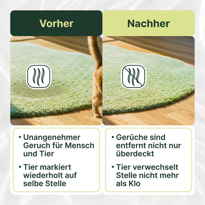 Coverax Enzymreiniger Katze – Geruchsentferner – Die Infografik zeigt den Vorher-Nachher-Vergleich des Coverax Enzymreinigers. Nach der Reinigung sind die unangenehmen Gerüche nicht nur überdeckt, sondern komplett entfernt. Das Tier verwechselt die Stelle dadurch nicht mehr mit dem Katzenklo.