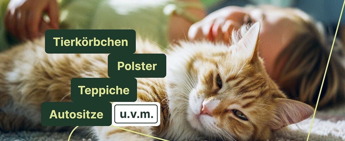Coverax Enzymreiniger gegen Katzengerüche